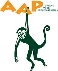 Steun Stichting Aap met uw kerstpakket!